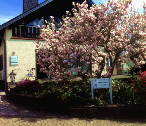 Kontaktbild